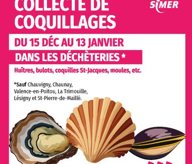 Collecte de coquillages